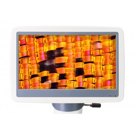 Микроскоп цифровой Levenhuk D95L LCD, монокулярный