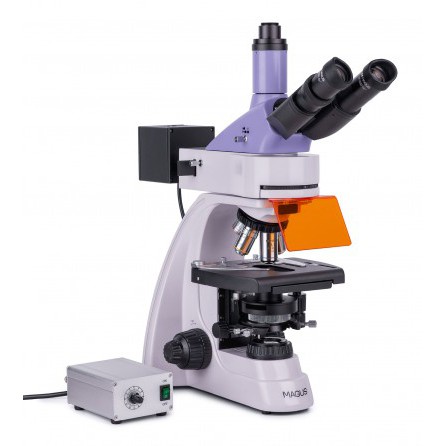 Микроскоп люминесцентный цифровой MAGUS Lum D400L