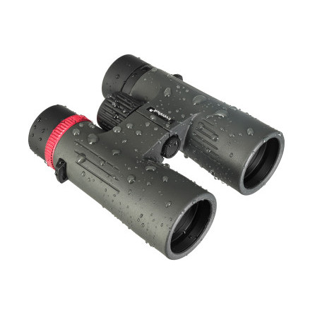 Фотобинокль Levenhuk Kelvin Snap 10x42 Фотобинокль Levenhuk Kelvin Snap 10x42