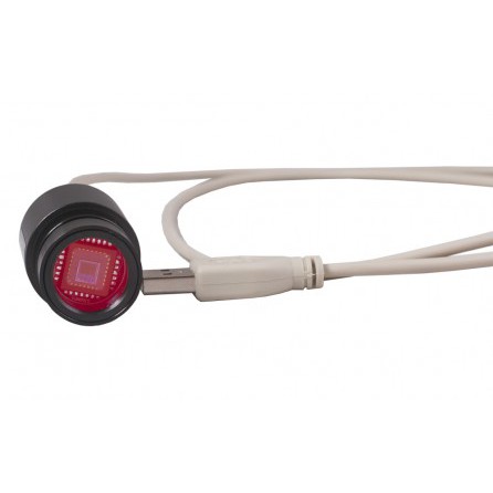 Микроскоп Levenhuk Rainbow D2L, 0,3 Мпикс, Moonstone/Лунный камень