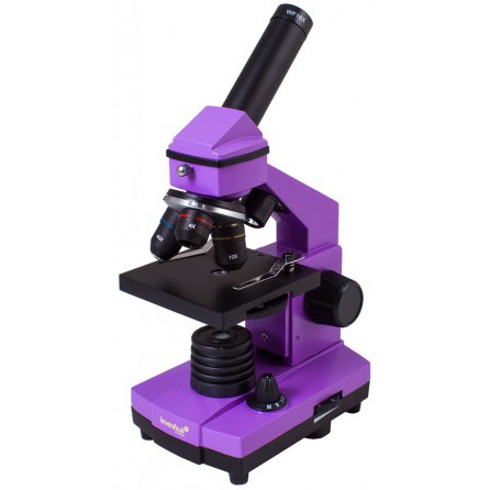 Микроскоп Levenhuk Rainbow 2L PLUS Amethyst/Аметист