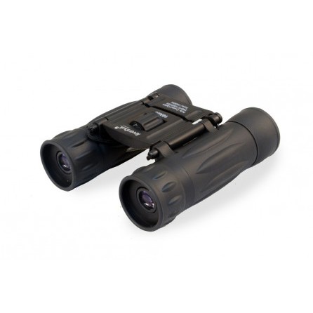 Бинокль Levenhuk Atom 10x25