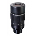 LER/ZOOM