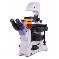 Микроскоп люминесцентный инвертированный MAGUS Lum V500L